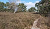Trail Walking Zonhoven - limbourg  - Photo 11