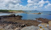 Tour Wandern Île-de-Bréhat - JOURNEE A L'ILE DE BREHAT - Photo 8