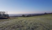 Excursión Bici de montaña Saint-Clément - sortie vtt du 29122019 Sur le haut de Lunéville - Photo 10