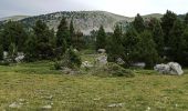 Trail Walking Gresse-en-Vercors - traversée Sud nord du Grand Veymont  - Photo 2