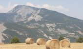 Excursión Senderismo Le Sauze-du-Lac - les Demooselles coiffées (vues du dessus)  - Photo 13