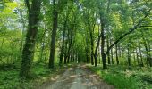 Tocht Stappen Ferrières - rando sy 3-05-2022 - Photo 16