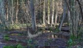 Tour Wandern Ferrières - xhoris - Photo 8