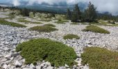 Trail Walking Bédoin - du chalet renard au sommet du ventoux - Photo 6