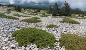 Tocht Stappen Bédoin - du chalet renard au sommet du ventoux - Photo 6