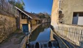 Tocht Stappen Longny les Villages - [Itinéraire] La Brisardière - Photo 2