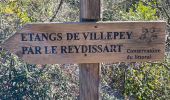 Trail Walking Roquebrune-sur-Argens - Gaillarde-Baronne - Photo 2