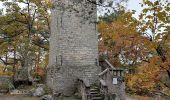 Tocht Stappen Fontainebleau - Croix Toulouse#2 - Photo 1