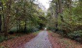 Randonnée Marche Gembloux - Promenade du bois de Grand-Leez et son étang  - Photo 8