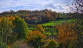 Tour Wandern Aywaille - Balade à Aywaille - Photo 16