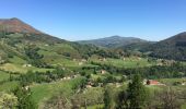 Randonnée Marche Bidarray - Iparaguirre - Photo 1