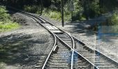 Tour Zu Fuß Brannenburg - Wendelstein - Reindler Alm - Mitteralm - Aipl - Zahnradbahn (Talbahnhof) - Photo 4