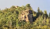 Percorso Marcia Lembach - Les 3 châteaux - Photo 1