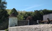 Trail Walking Athée-sur-Cher - Athée-sur-Cher - Chandon - Tour du Brandon - 21.2km 160m 4h40 (50mn) - 2025 05 10 - Photo 1