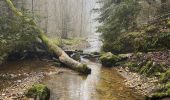 Randonnée Marche Menétrux-en-Joux - cascades des herissons - Photo 2