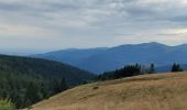 Trail Walking Linthal - Hilsen-Hilsenfirst-Petit Ballon-Hilsen - Photo 2