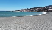 Tocht Stappen Banyuls-sur-Mer - Découverte de Banyuls  - Photo 1