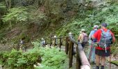 Randonnée Marche Piedimulera - 17.06.2023 - Piedimulera - Le chemin muletier médiéval dans la Vallée Anzasca - Photo 20