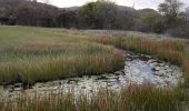 Tour Wandern Le Marin - cap macré par les mornes - Photo 18