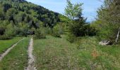 Trail Walking Arvière-en-Valromey - SUR LYAND NORD via corniche & balcon Valromey et GR9 - Photo 1