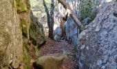 Tocht Stappen Fontainebleau - Sentier Denecourt 3 - Photo 15