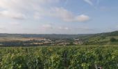 Tour Wandern Saâcy-sur-Marne - 20240910 rando  - Photo 3