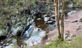 Tocht Stappen Malmedy - Ferme Libert - Photo 4