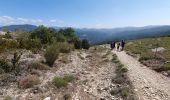 Tour Wandern Castellane - Chasteuil Rougon - Photo 1