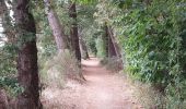 Trail Walking Plescop - PR_56_Plescop_AA_01_Tour-Du-Bourg_Circuit4a_20220731 - Photo 2