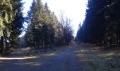 Randonnée Marche Manhay - plateau des tailles depuis Odeigne  - Photo 19