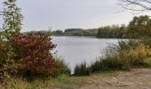 Tocht Stappen Vred - Les tourbières de Vred et les marais de la Scarpe - Photo 6