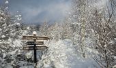 Tocht Stappen Waimes - ❄️⛄️ Hertogenwald oriental - Photo 8