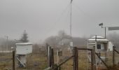 Randonnée Marche Waimes - botrange . baraque Michel longeant la fagne wallonne . Retour via croix des fiancés.  pont bleu.  fagne de polleur . station météo Mont rigide  - Photo 19