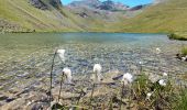 Excursión Senderismo Jausiers - Lac des Terres Pleines. Route de la Bonette - Photo 3