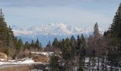 Randonnée Marche Gex - Le Belvédère du Turet - Photo 3