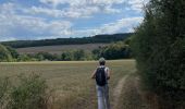 Tour Wandern Andenne - Groynne  - Photo 13