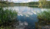 Tour Zu Fuß Chorin - Rundweg Bachsee - Photo 9