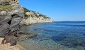 Excursión Senderismo Hyères - Hyères - La presqu'île de Giens - Circuit côtier ouest  - Photo 15