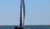 Tocht Motorboot Arcachon - Tour de l'île aux Oiseaux - Photo 14