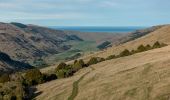 Trail On foot Banks Peninsula Community - Te Ara Pātaka - Photo 3