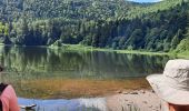 Tour Wandern Woll - Tourbière de Machais - Photo 1