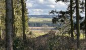 Trail Walking Gouvy - Gouvy 23 km  - Photo 5