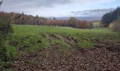 Tour Wandern Saint-Hubert - Awenne (Saint-Hubert)  - Photo 5