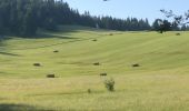 Tour Wandern Longchaumois - GR 9 - étape 6 - Longchaumois - Prémanon (La Grenotte) - Photo 2