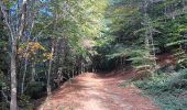 Tocht Stappen L'Albère - ullat - san-cristau / retour par la piste  - Photo 5