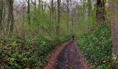 Trail Walking Honnelles - Promenade du caillou qui bique  - Photo 12