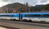 Percorso A piedi Gemeinde Spital am Semmering - Bärenwand Rundwanderweg - Photo 4