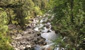 Percorso Marcia Cauterets - Le lac de Gaube  - Photo 8