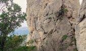 Tocht Stappen Toulon - Le capucin (spécial confinement - Dans le périmètre < 1km et 1h00 ) - Photo 2