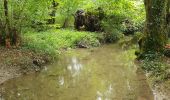 Randonnée Marche Charnay-lès-Mâcon - Loché - Photo 1